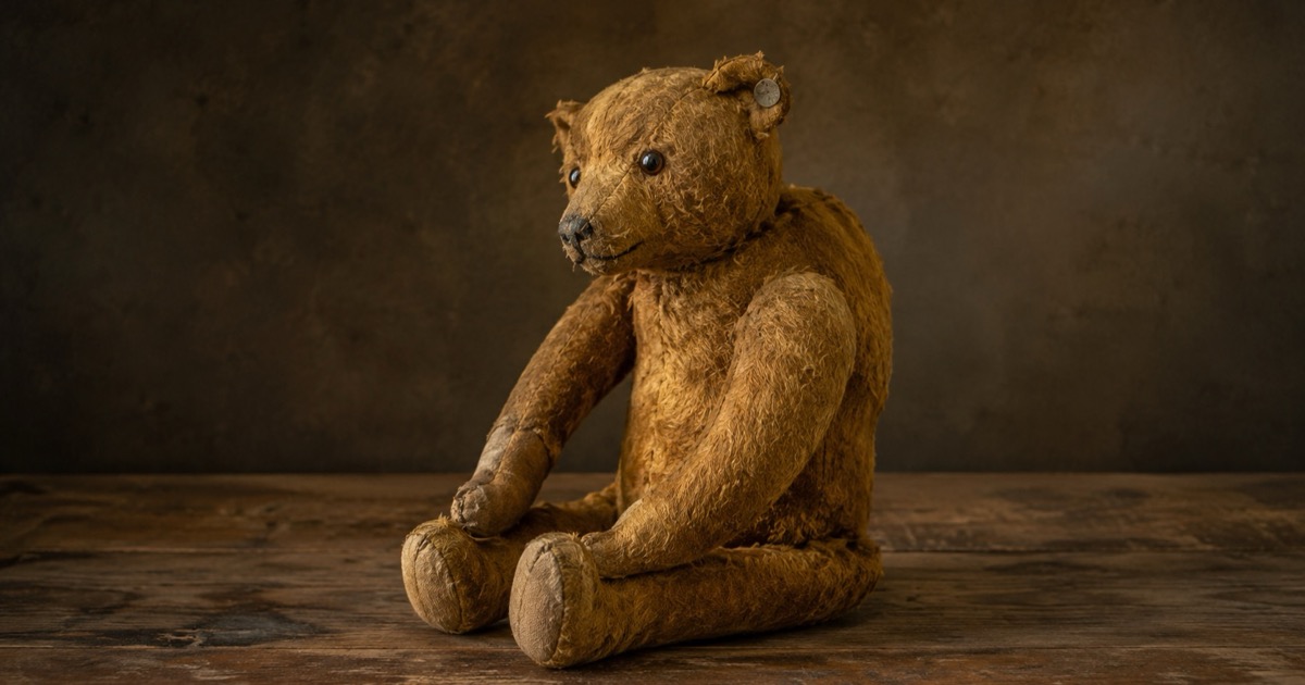 Steiff Teddy Bear Identification
